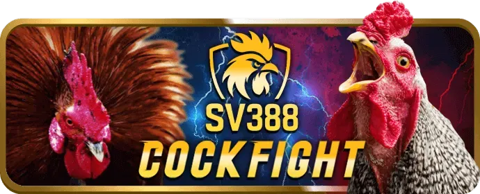 Chính sách Cookie của 8kbet