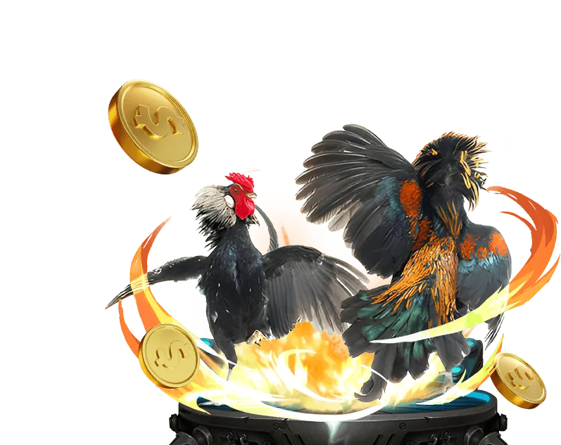 Khuyến mãi đá gà độc quyền